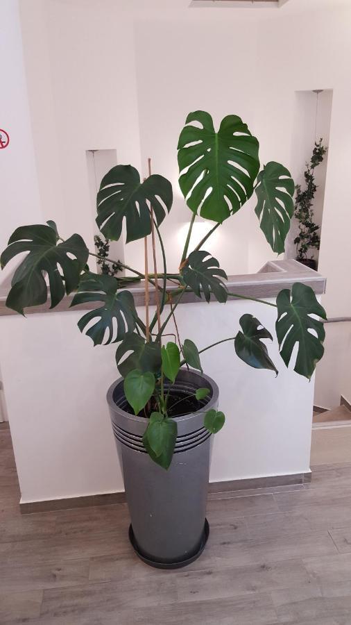 Centar Vodice Apartmani 外观 照片